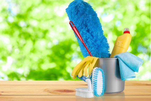 Accessible Brent Park carpet cleaners website statement introduction