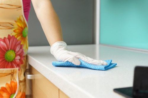 Professional pet stain odour removal in Brent Park on carpet