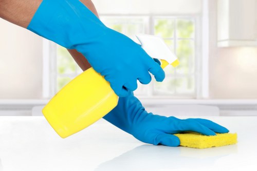 Carpet cleaning equipment used in Brent Park homes and offices