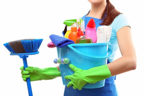 Regular curtain maintenance and dust removal in Brent Park