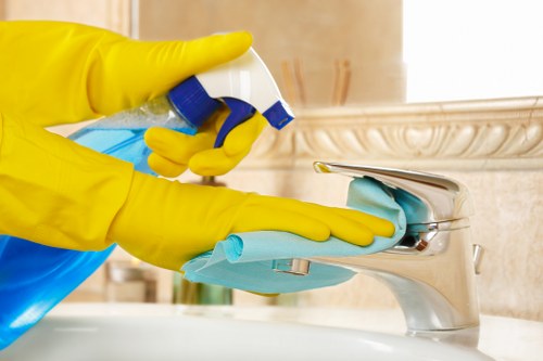 Professional carpet cleaning in a home setting by Brent Park Carpet Cleaners