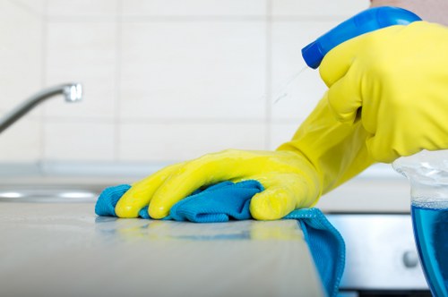 DIY versus professional stain removal in Brent Park