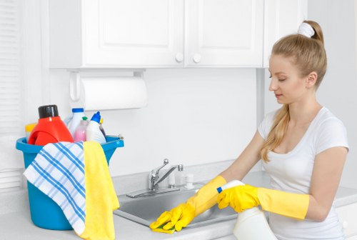 Upholstery pet stain cleaning service in Brent Park