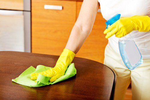 Brent Park carpet cleaners treating deep stains and restoring fibres